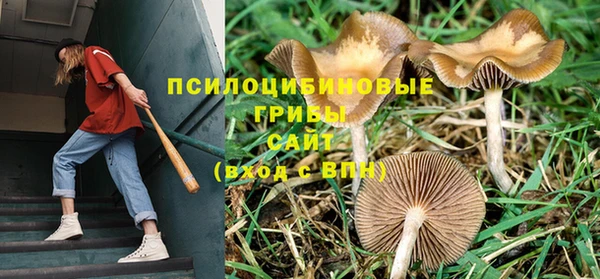 кокс Покров