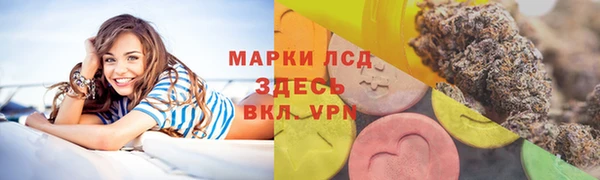 мяу мяу мука Алзамай