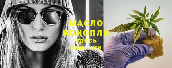 мет Алексин