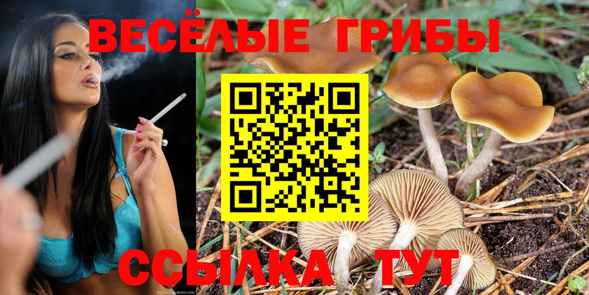 Кимовск  Галлюциногенные грибы GOLDEN TEACHER  Вход с VPN  Галлюциногенные грибы мицелий 