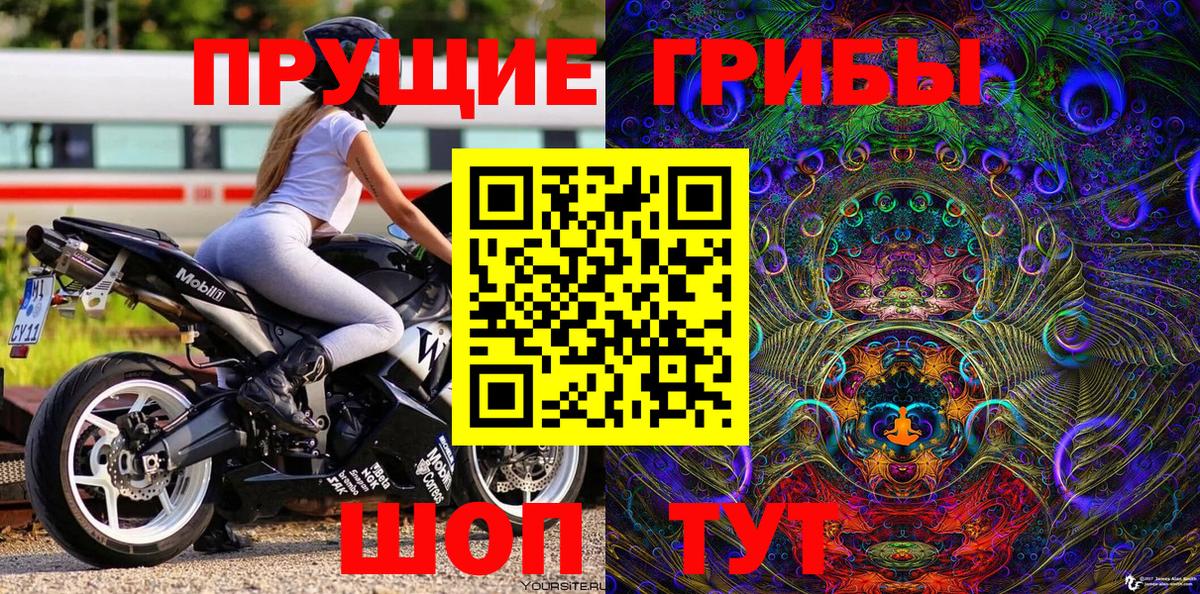Псилоцибиновые грибы прущие грибы Кимовск